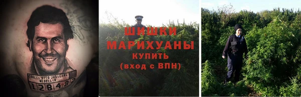 твердый Инсар