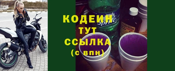 твердый Инсар