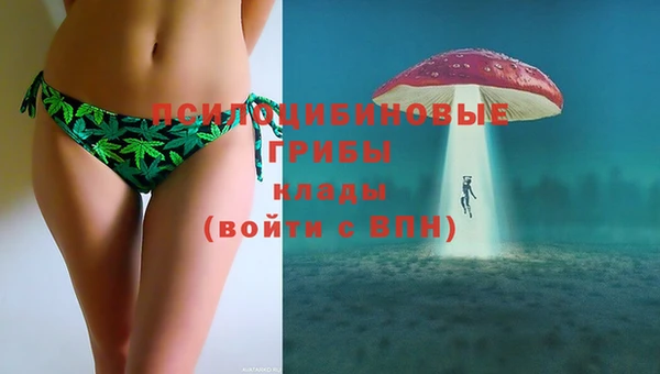 дмт Инта