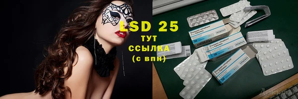 дмт Инта