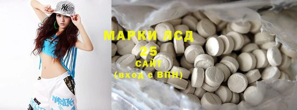 твердый Инсар