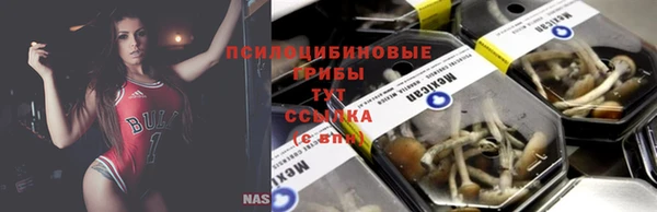 дмт Инта