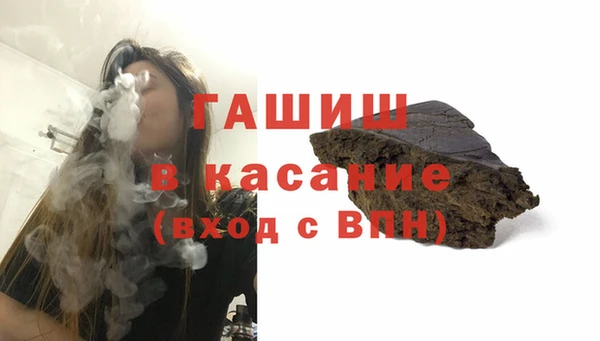 твердый Инсар