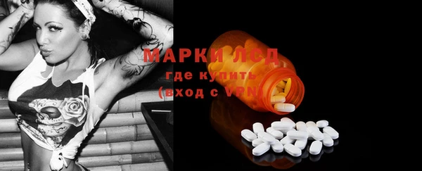 дмт Инта