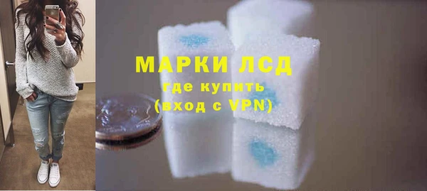 твердый Инсар