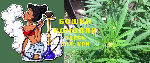 твердый Инсар