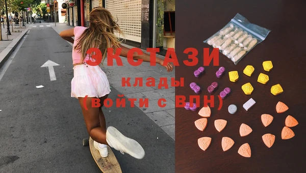 дмт Инта