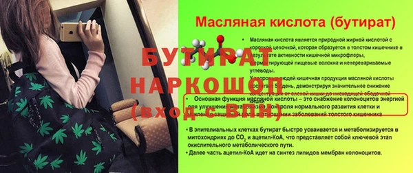 твердый Инсар