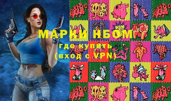 твердый Инсар