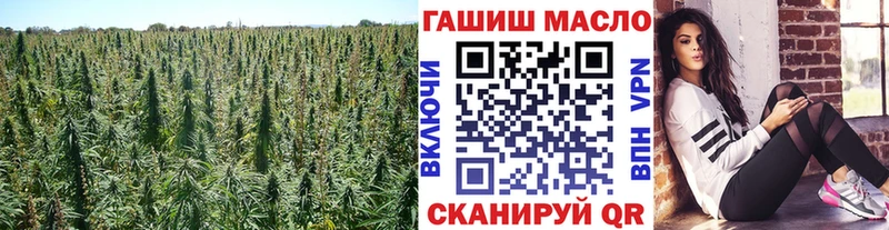 Купить  Хотьково  Дистиллят ТГК концентрат 