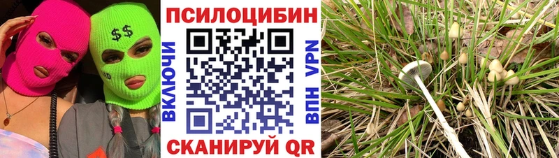 Галлюциногенные грибы мицелий  Купить закладки  Хотьково 