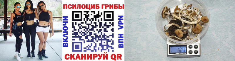Псилоцибиновые грибы GOLDEN TEACHER Хотьково